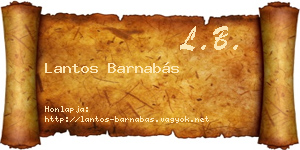 Lantos Barnabás névjegykártya