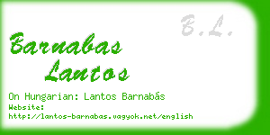 barnabas lantos business card